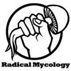 Episode 15 - Peter McCoy of Radical Mycology on the history of Fungi, Magic & his new book