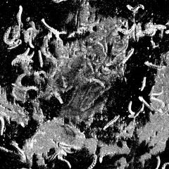 the summoning of yigg