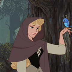 I Wonder (Sleeping Beauty)