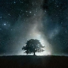 Hi - Finesse - Andromeda