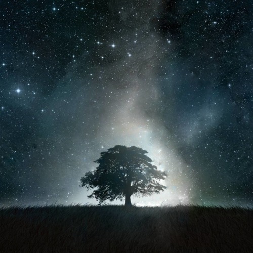 Future World Music - Voyage to Atlantis