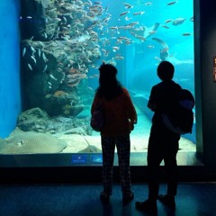 かといってどうって訳でもないけどね