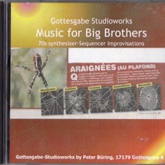 Other Life - Music for Big Brothers