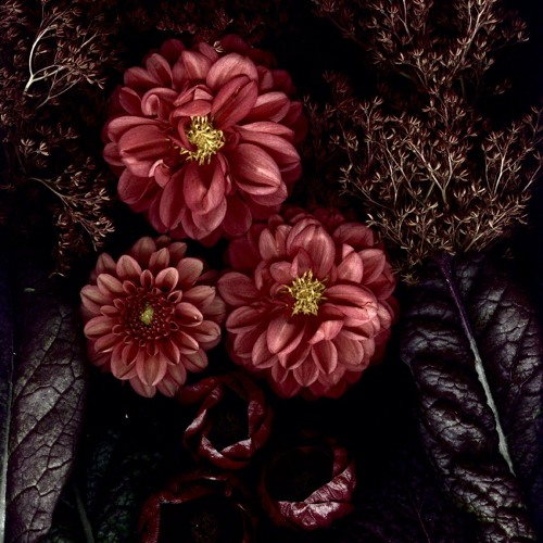 Umber