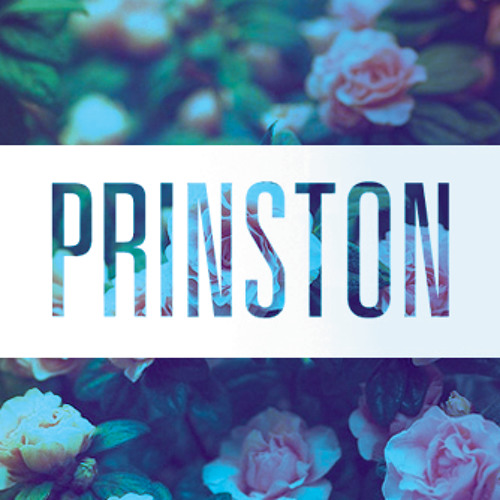 Maroon 5 - Sugar (PRINSTON REMIX)