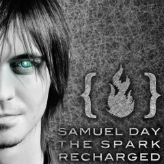 The Screen (Recharged)