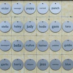 Disquiet Junto Project 0186: My Name