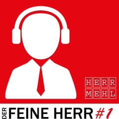 Der feine Herr Mehl #1 (Auf alten Schiffen lernt man segeln Teil 1 - Covermix)