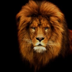 Run - E Pres You Cant Break Me