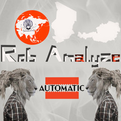 Rob Analyze - Automatic