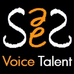 N. SAEZ - French Educational - Elearning