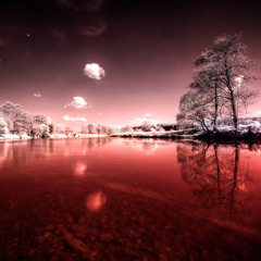 The Blood-Dimmed Tide
