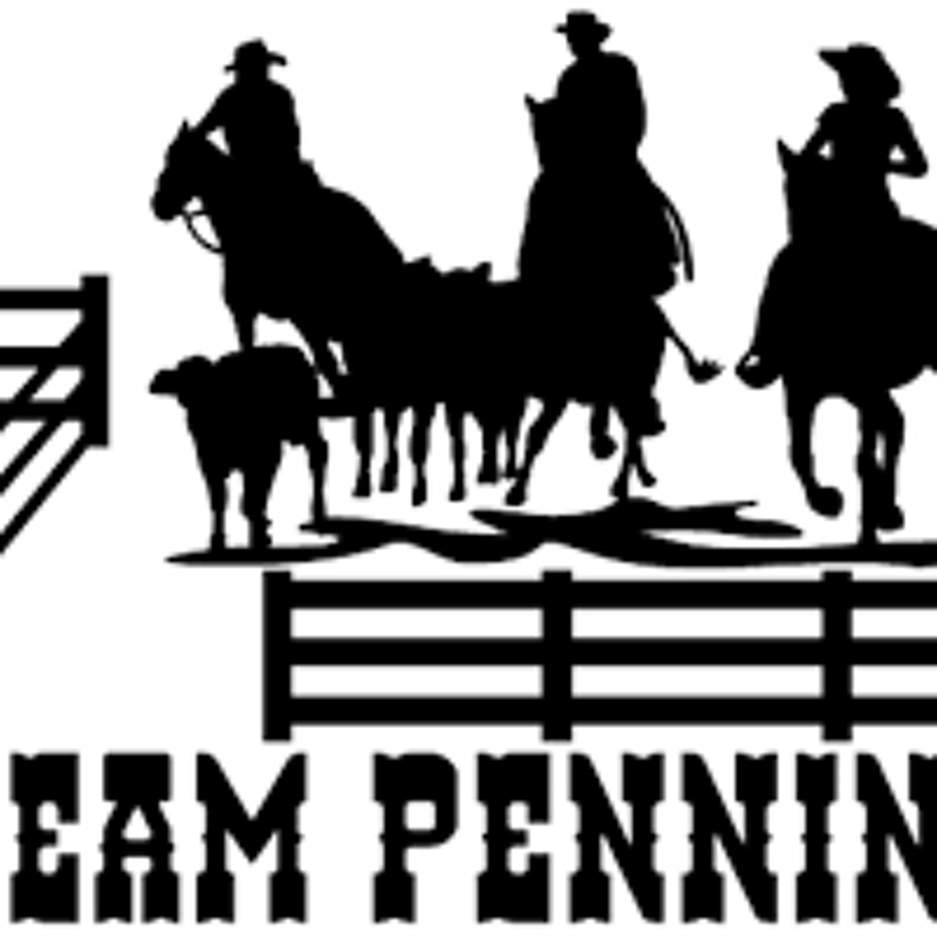 Team Penning episode artwork