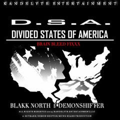 D.S.A. - DIVIDED STATES OF AMERICA (BRAIN BLEED FIXXX)