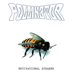 Motivational Speaker