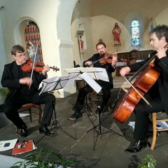 Beethoven, Serenade pour trio a cordes. Membres du Quatour Gaudi