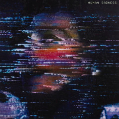 Human Sadness - Julian Casablancas+The Voidz