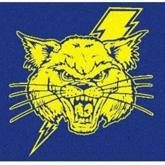 nlr