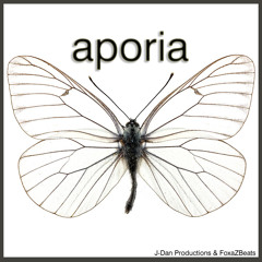 Aporia_J - Dan Productions & FoxaZBeats