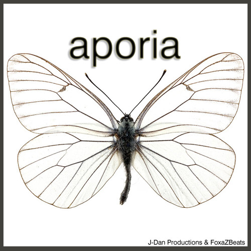 Aporia_J - Dan Productions & FoxaZBeats