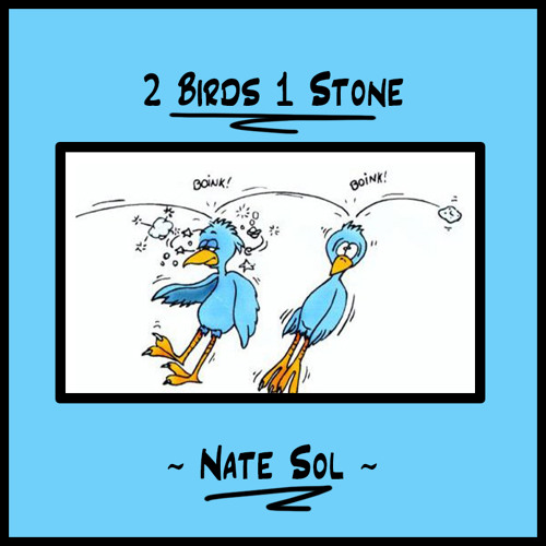 2 Birds 1 Stone