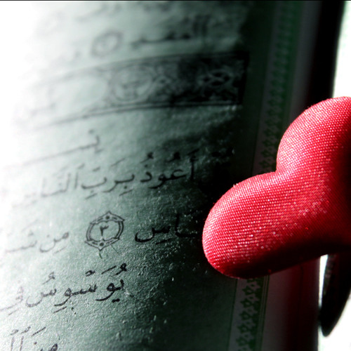 ثُمَّ قَسَتْ قُلُوبُكُمْ / من أعذب التلاوات !! رائعة