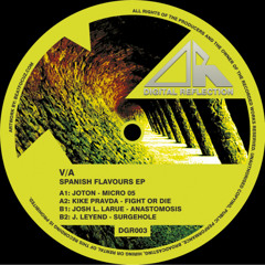 Various Artists - Spanish Flavours