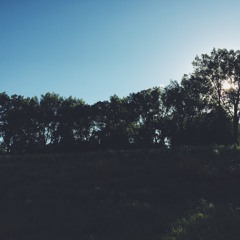 For The Best (Gregory And The Hawk Cover)