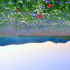 Upside Down Meadow