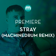 Premiere: Stray 'Movements' (Machinedrum remix)
