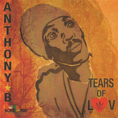 Anthony B - Mau Mau Warrior [Tears Of Luv | Born Fire Music 2015]
