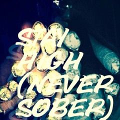Shaq ~ Stay High (Never Sober)(Prod. By Shaq)