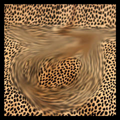 Aziz Bongo - After Life Joy