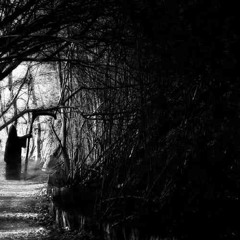 dark peaks - heinrich hoffmann