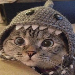 (光&楓夜cover)─朱俐靜&陳彥允 - 我們在同一個頻率