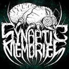 SYNAPTIC MEMORIES (ITA) EXCLUSIVE GUEST MIX ON TOXIC SICKNESS / 29TH JULY / 2015
