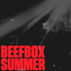 Tim McLoone - Summer  House 2015