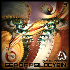 Pyramidal Odyssey