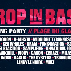 Summer mix/ Set Drop in Bass Closing Party