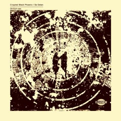 Crippled Black Phoenix & Se Delan - Childhoods End
