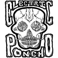 Electric Poncho 2015