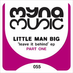 Little Man Big - Burning Down