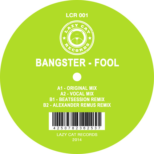 Bangster - Fool (Alexander Remus Remix) (Snippet)