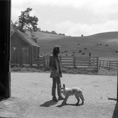 Into The Black (Neil Young cover)