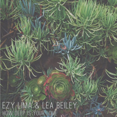 Calvin Harris - How Deep Is Your Love (Lea Beiley & EZY Lima  Cover)
