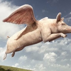 Hope, bridges, bones