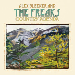 Alex Bleeker and The Freaks - Sealong Hair