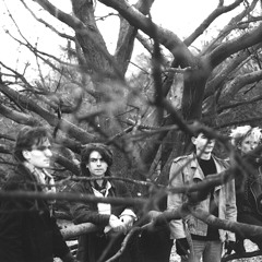 The Fifteenth - Brighton Centre, 28-3-86