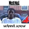 Meek Mill Wanna Know Drake Diss Mp3