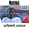 Meek Mill Wanna Know Drake Diss Mp3